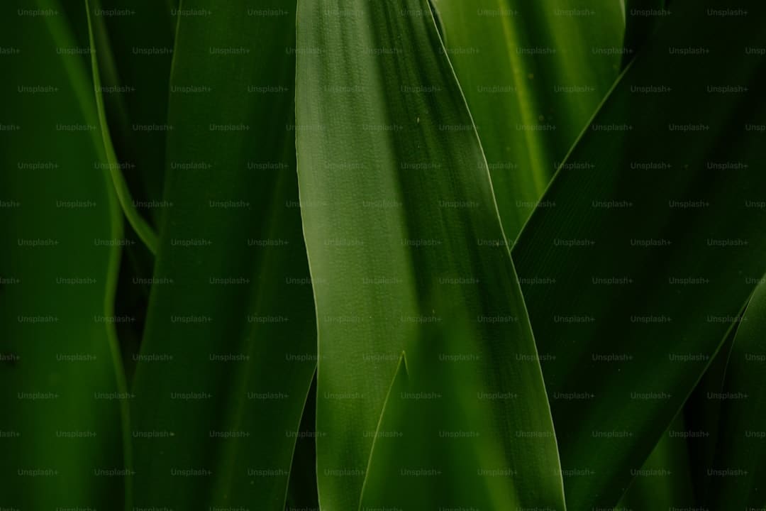 “印度首部AI电影”计划明年上映